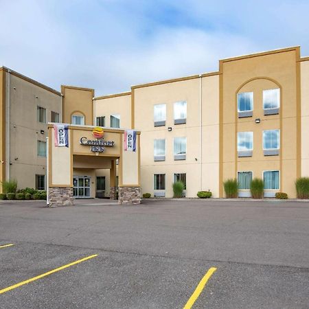 Comfort Inn Apalachin - Binghamton W Route 17 Екстер'єр фото