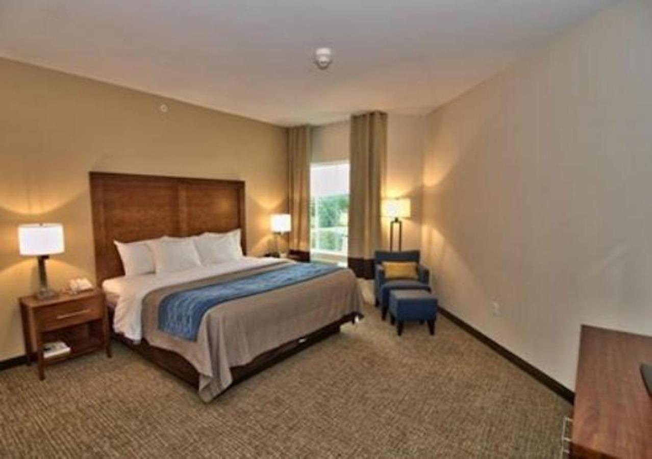 Comfort Inn Apalachin - Binghamton W Route 17 Екстер'єр фото