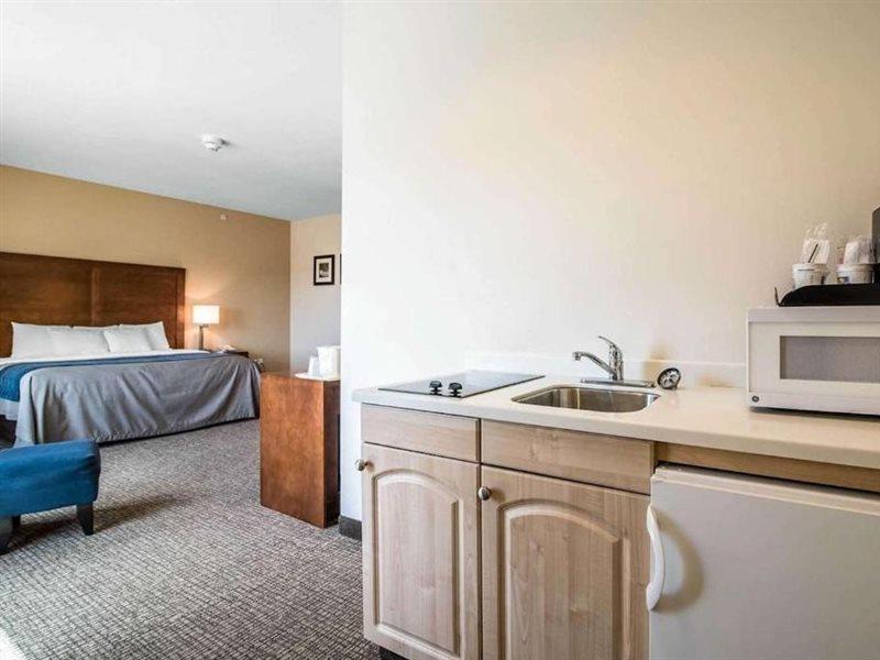 Comfort Inn Apalachin - Binghamton W Route 17 Екстер'єр фото