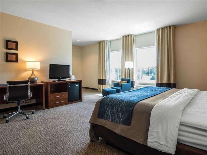 Comfort Inn Apalachin - Binghamton W Route 17 Екстер'єр фото
