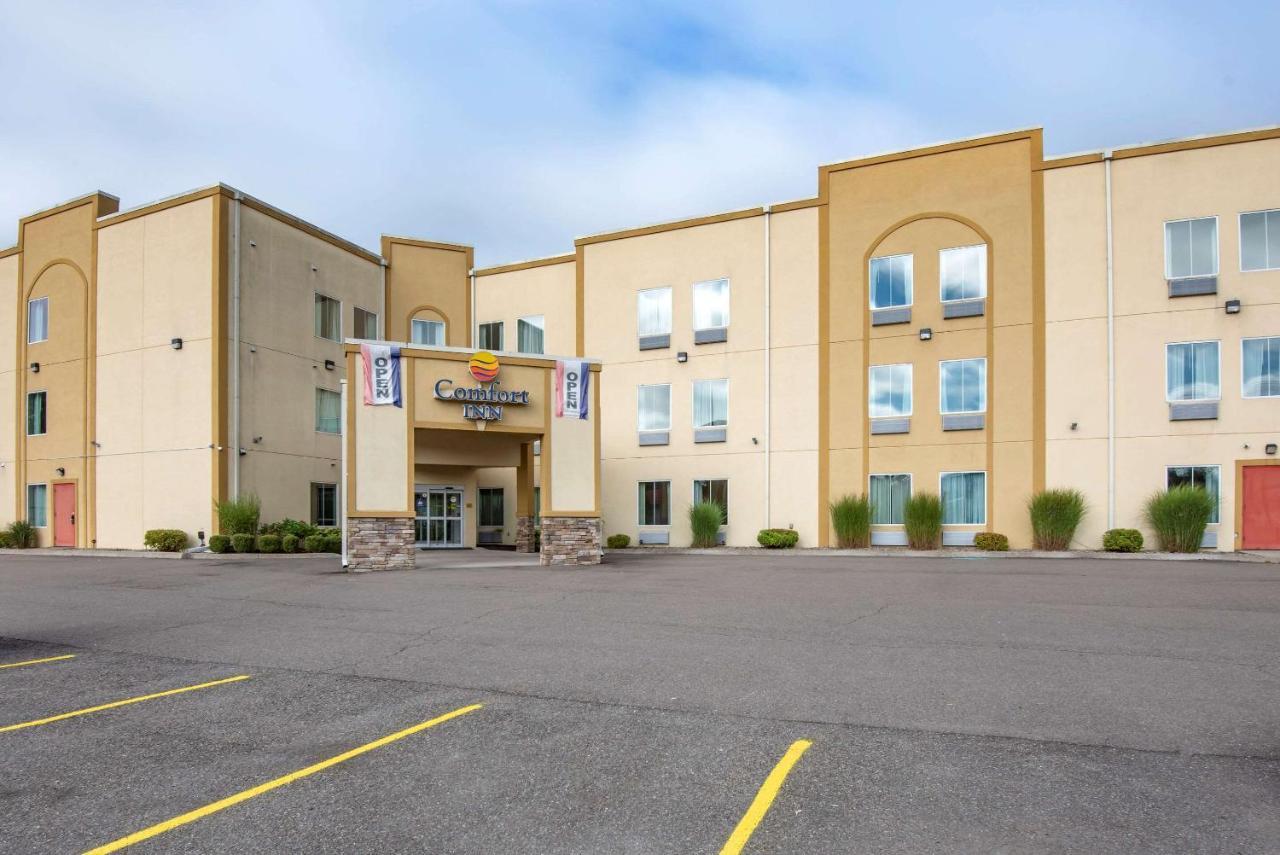 Comfort Inn Apalachin - Binghamton W Route 17 Екстер'єр фото
