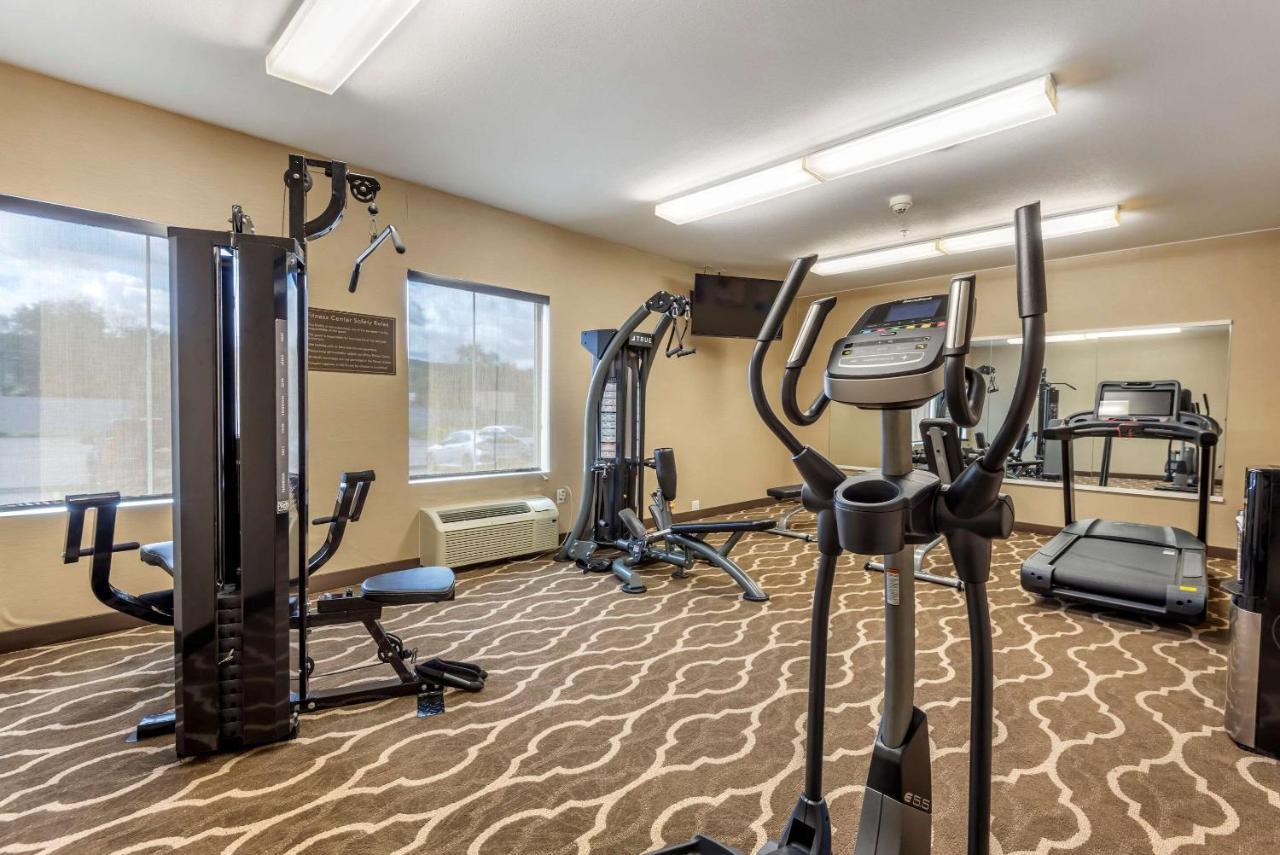 Comfort Inn Apalachin - Binghamton W Route 17 Екстер'єр фото