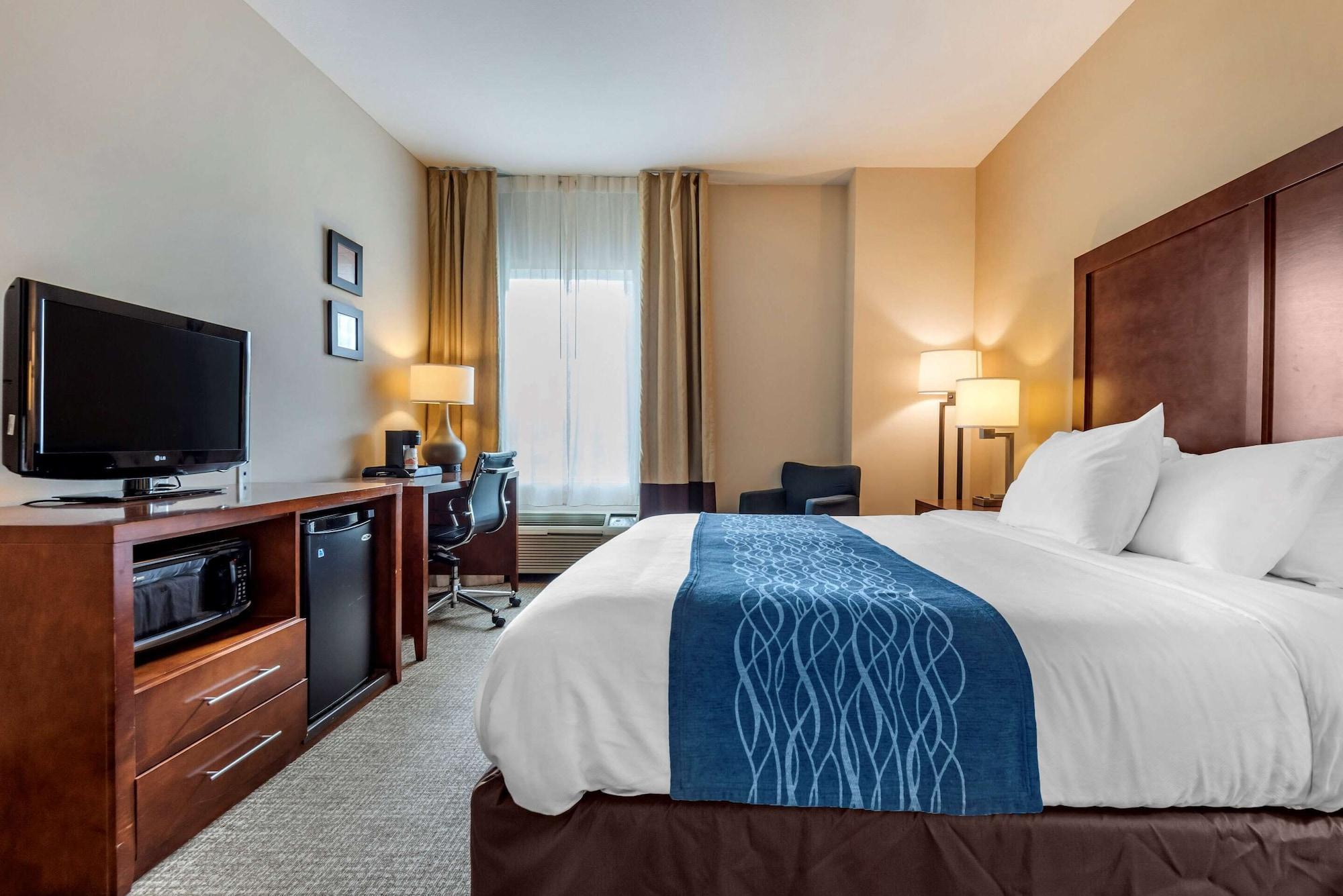 Comfort Inn Apalachin - Binghamton W Route 17 Екстер'єр фото