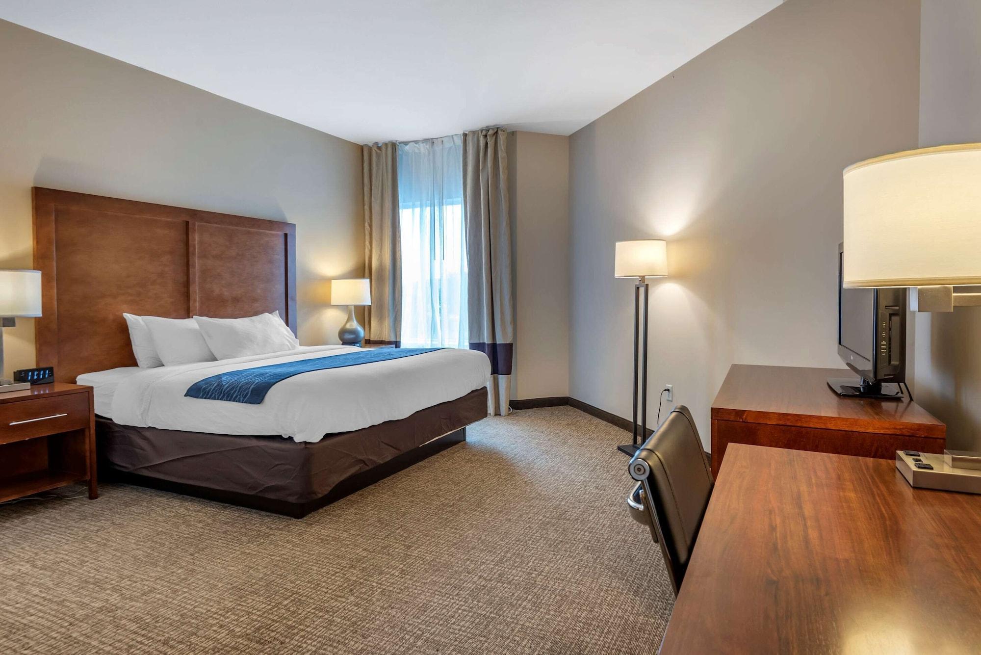 Comfort Inn Apalachin - Binghamton W Route 17 Екстер'єр фото