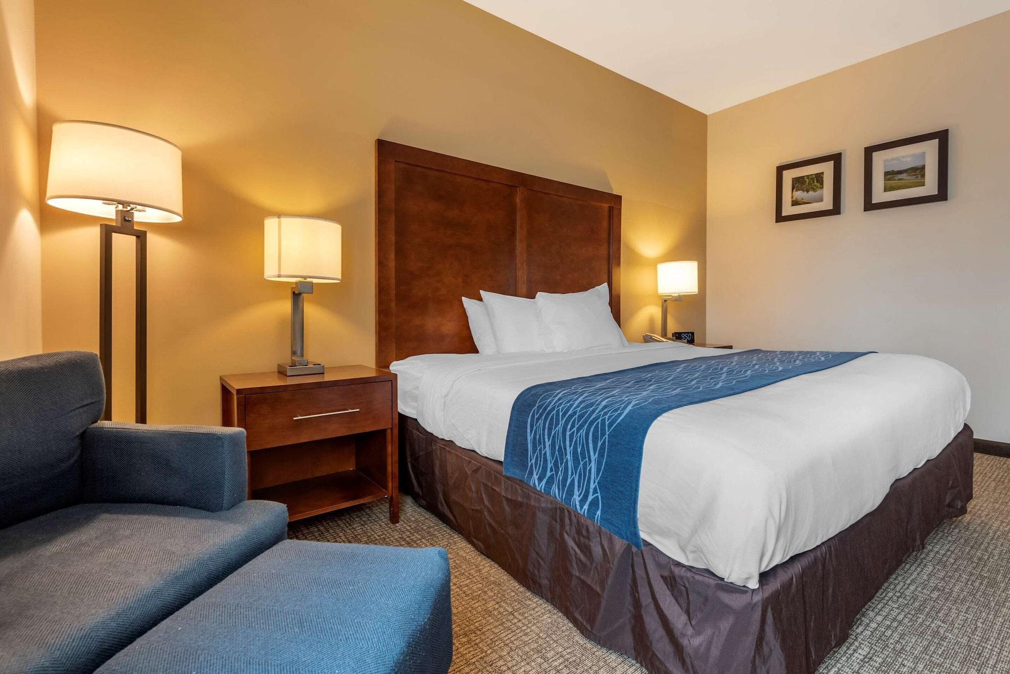 Comfort Inn Apalachin - Binghamton W Route 17 Екстер'єр фото