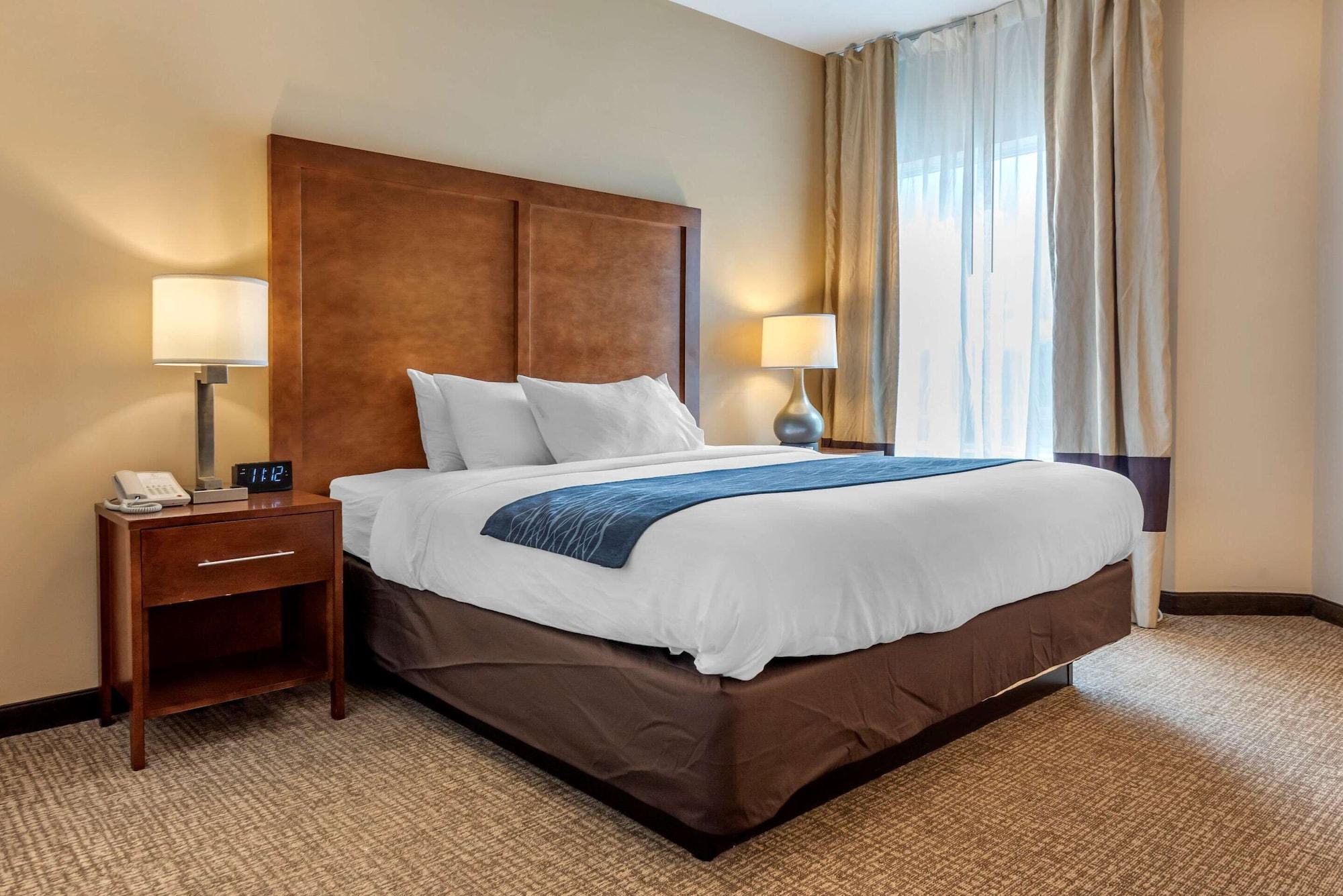 Comfort Inn Apalachin - Binghamton W Route 17 Екстер'єр фото