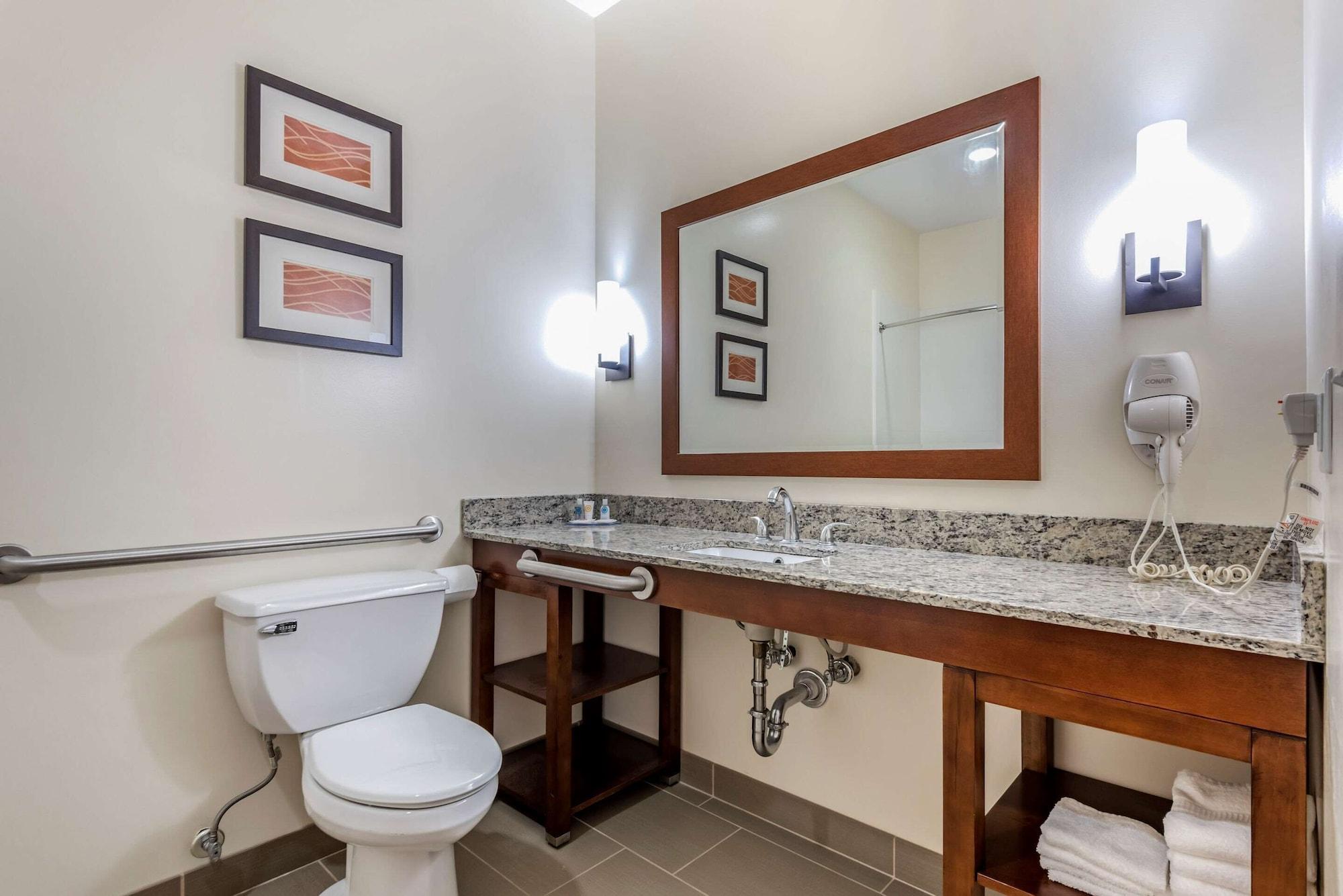 Comfort Inn Apalachin - Binghamton W Route 17 Екстер'єр фото