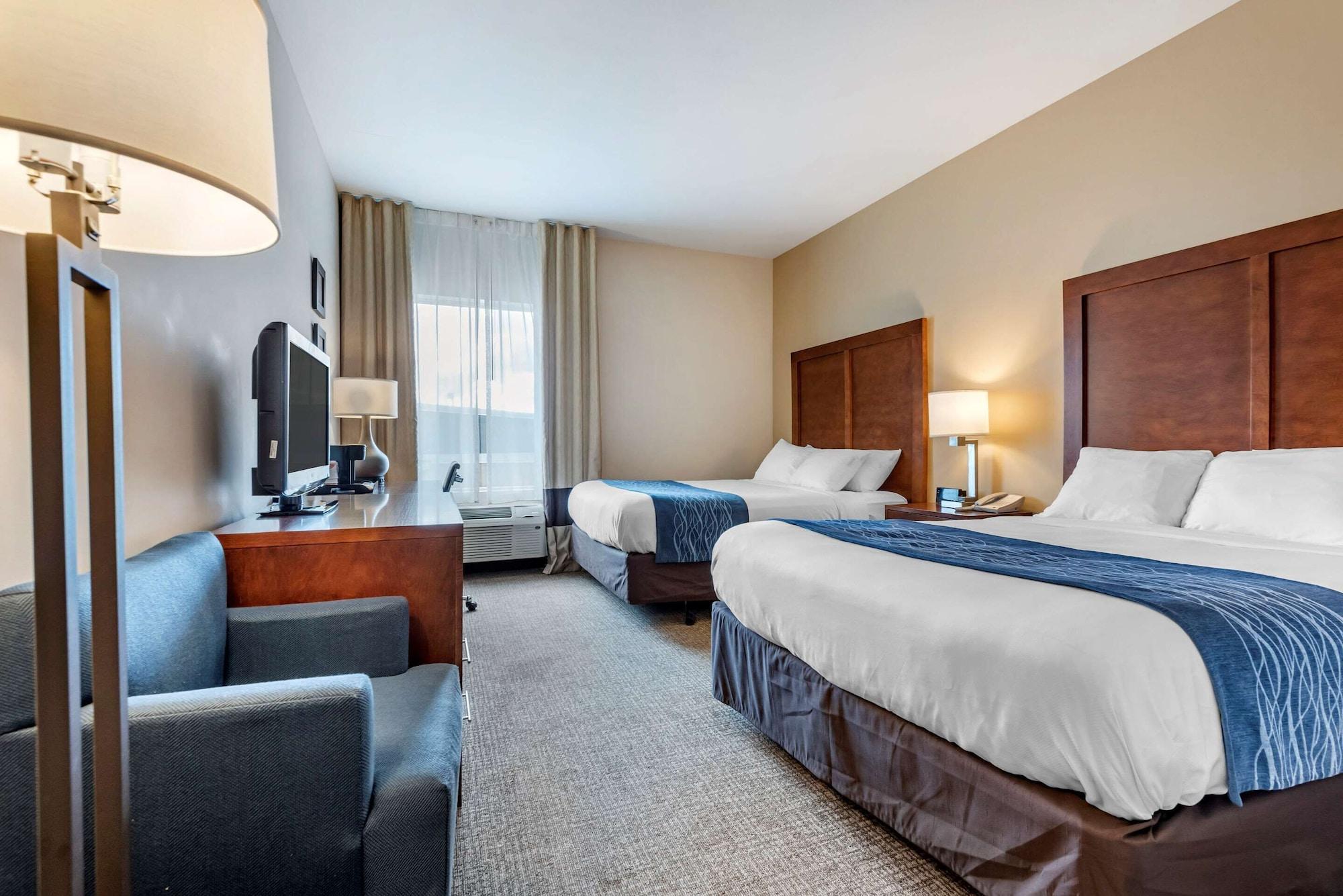 Comfort Inn Apalachin - Binghamton W Route 17 Екстер'єр фото