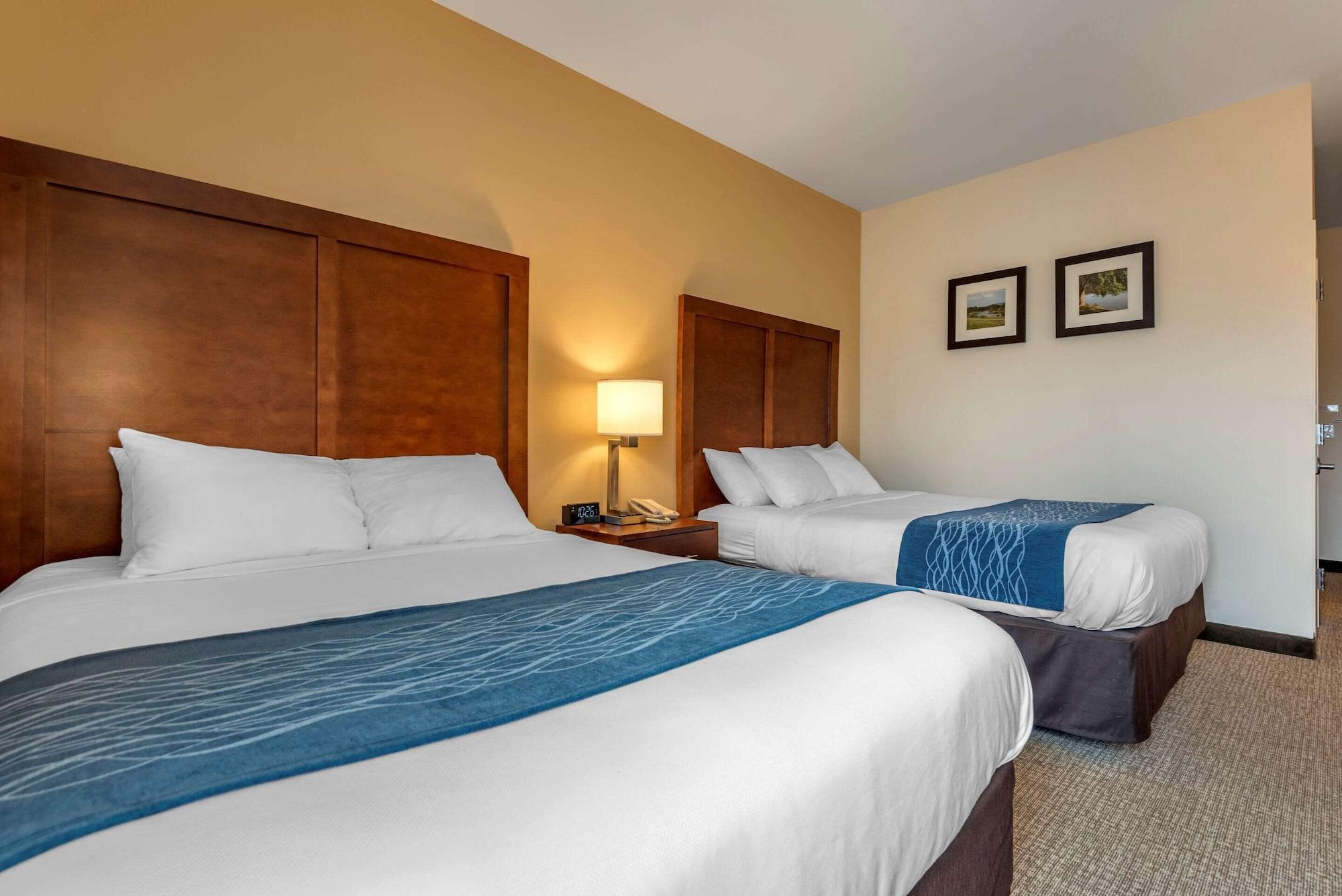 Comfort Inn Apalachin - Binghamton W Route 17 Екстер'єр фото