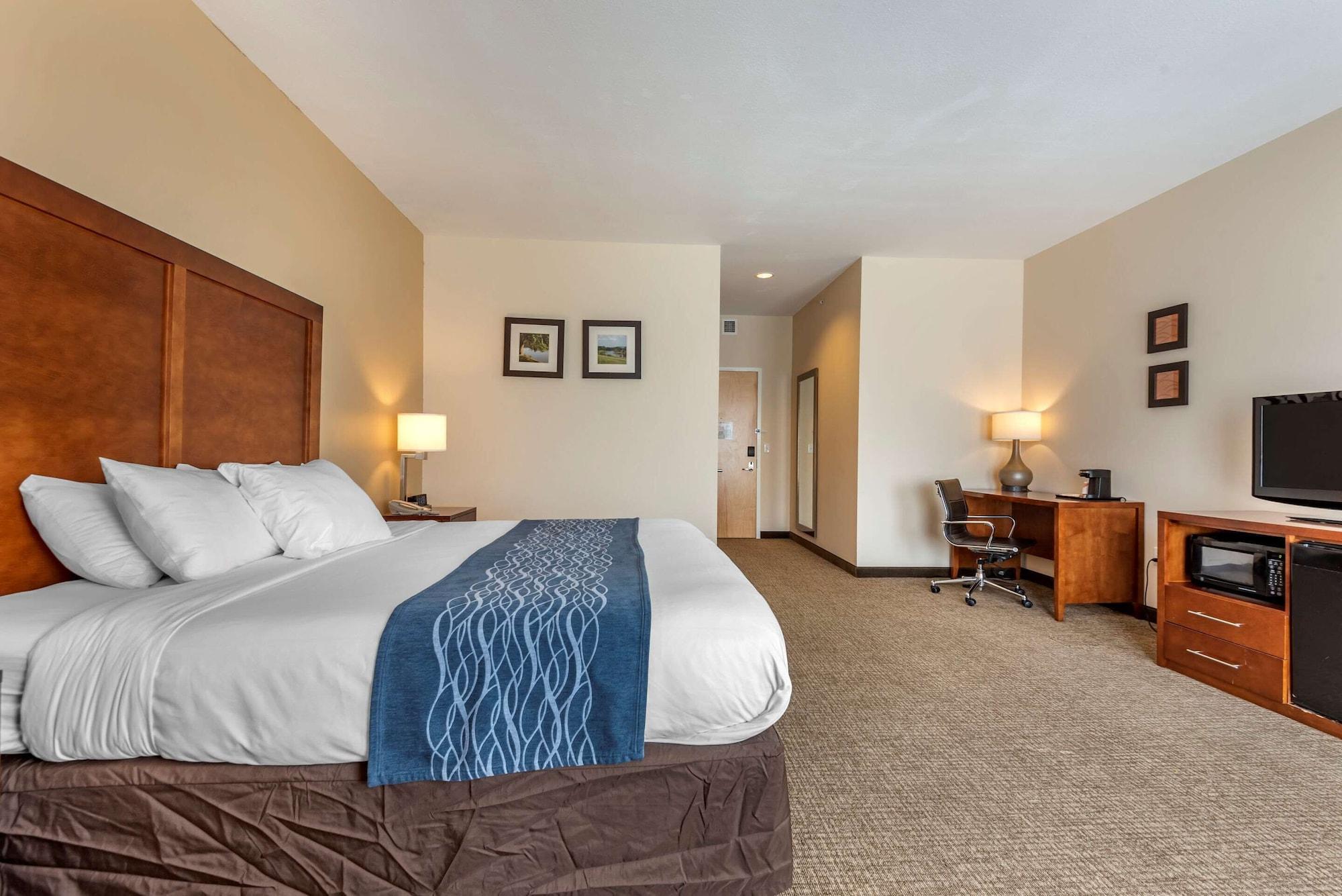 Comfort Inn Apalachin - Binghamton W Route 17 Екстер'єр фото