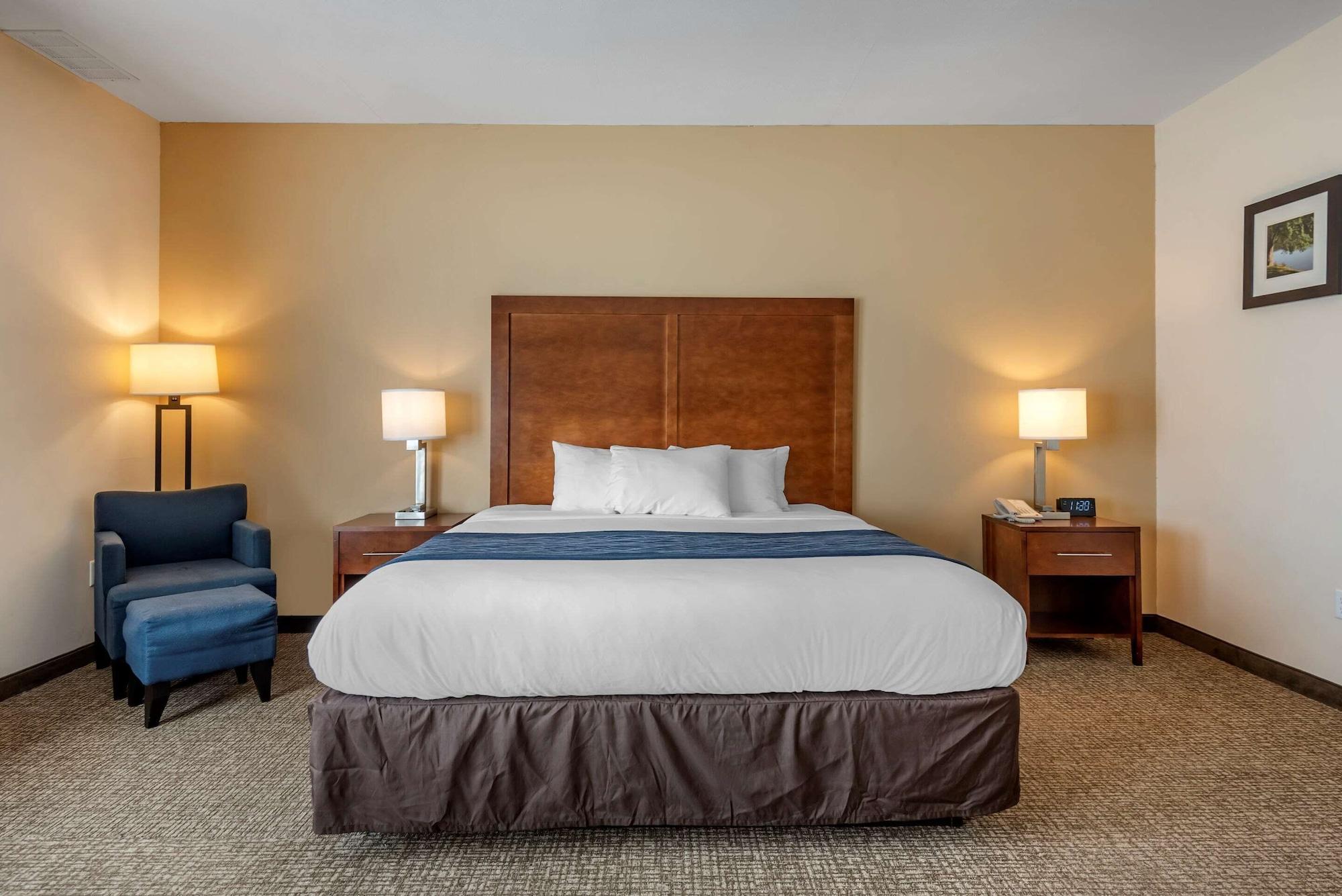 Comfort Inn Apalachin - Binghamton W Route 17 Екстер'єр фото