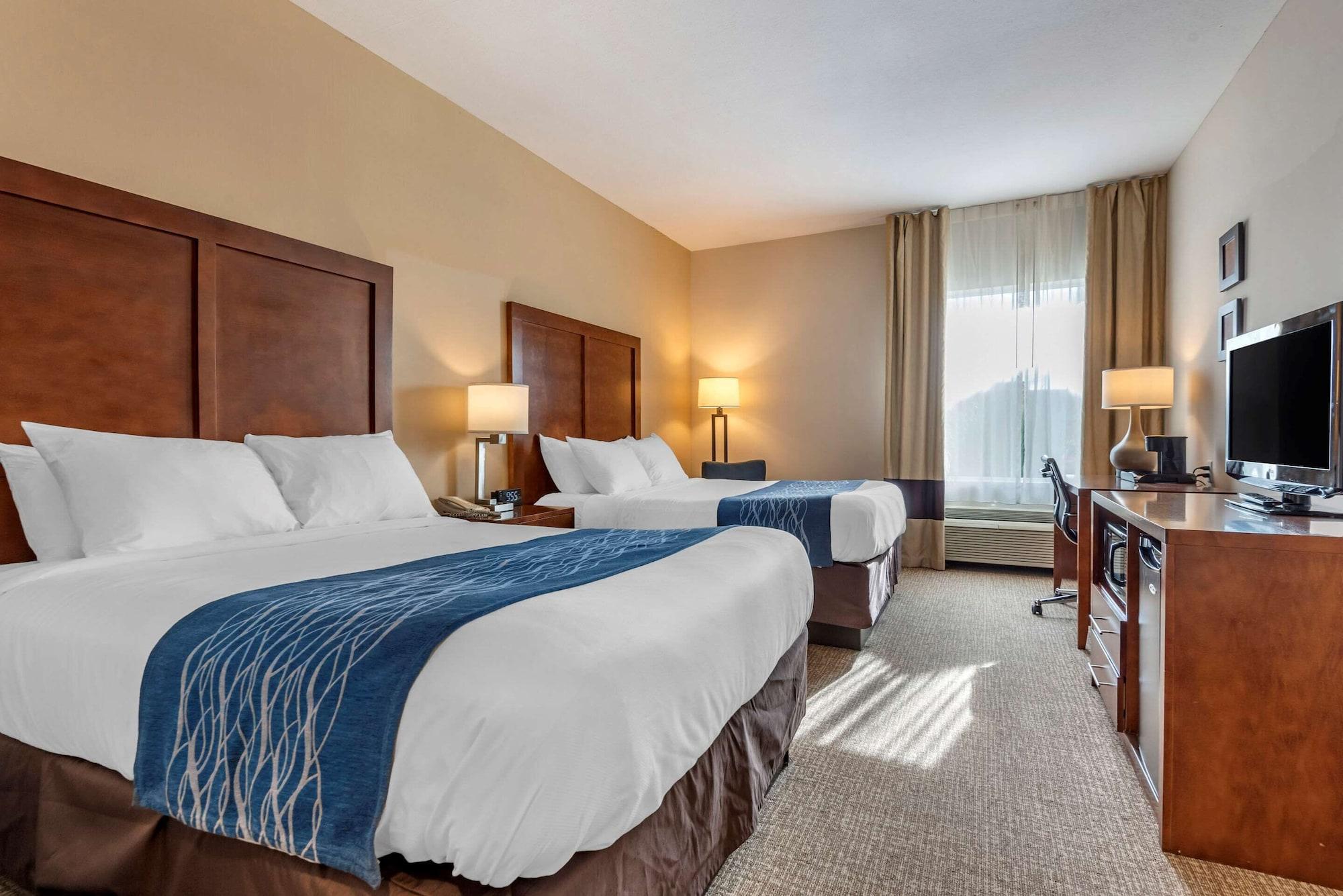 Comfort Inn Apalachin - Binghamton W Route 17 Екстер'єр фото