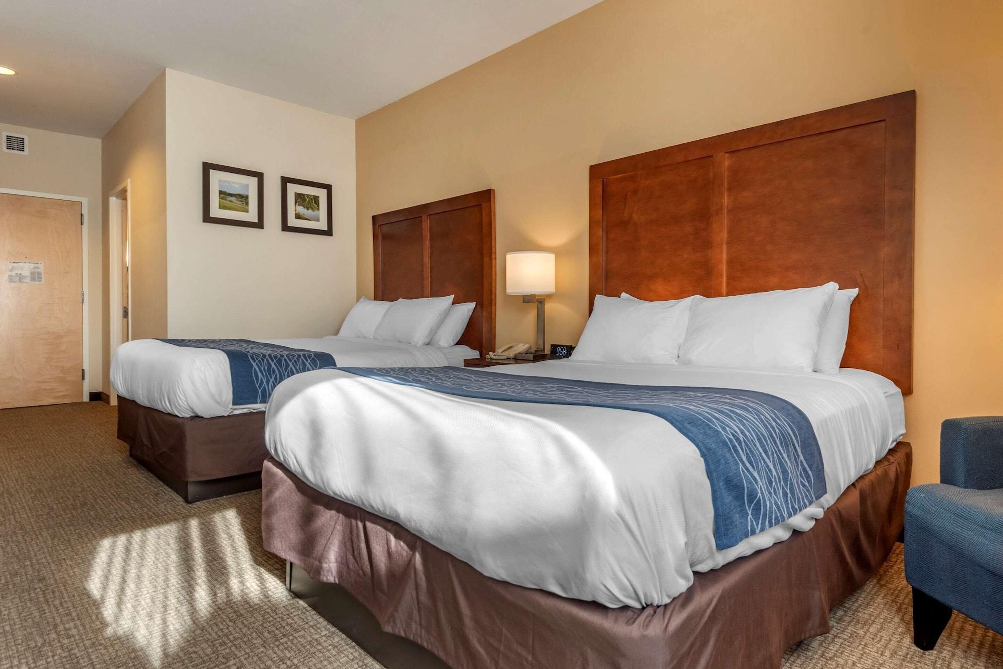 Comfort Inn Apalachin - Binghamton W Route 17 Екстер'єр фото