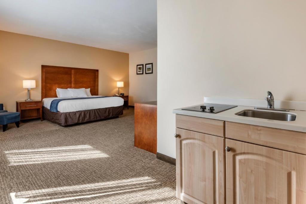 Comfort Inn Apalachin - Binghamton W Route 17 Екстер'єр фото