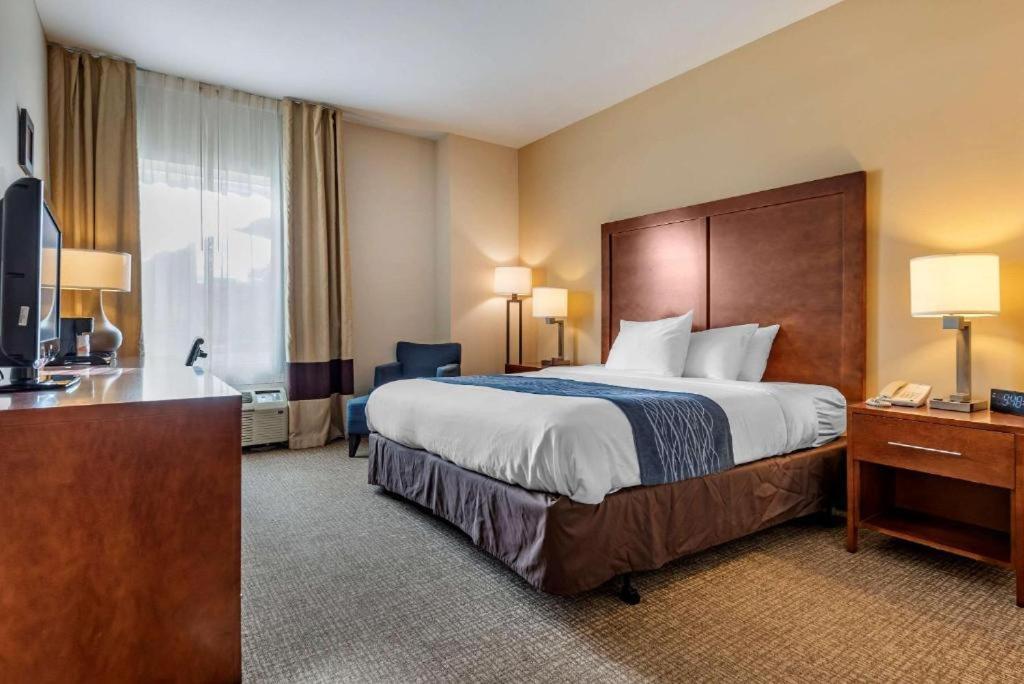 Comfort Inn Apalachin - Binghamton W Route 17 Екстер'єр фото