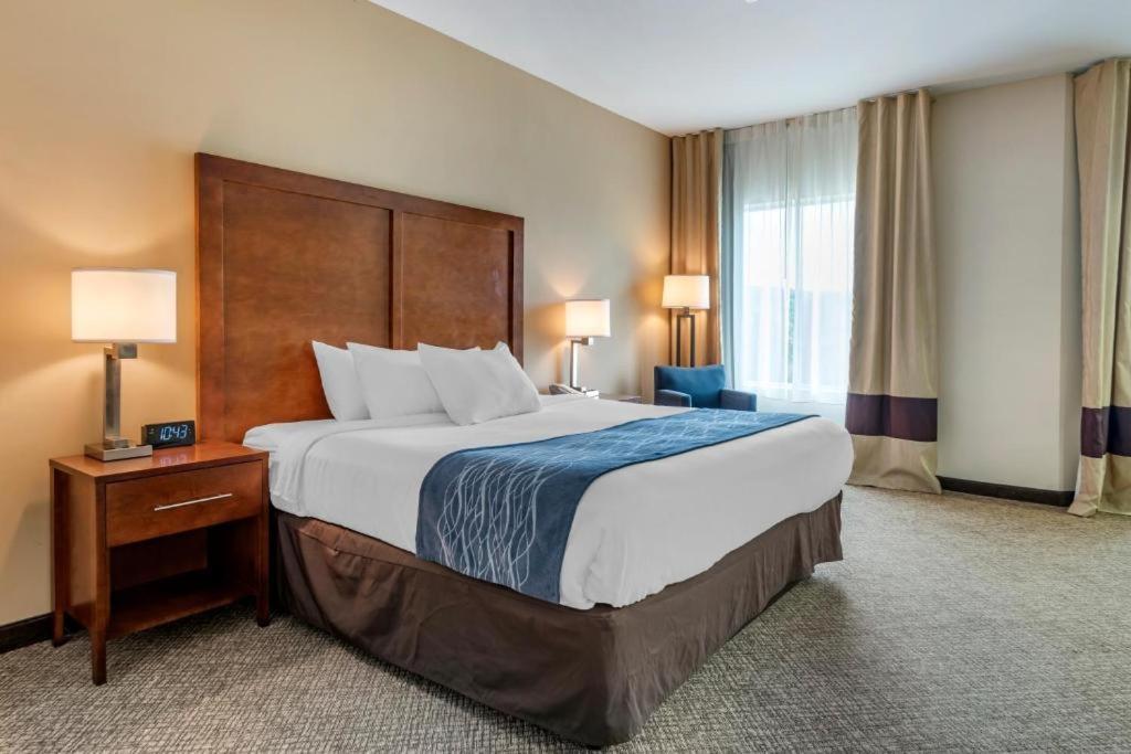 Comfort Inn Apalachin - Binghamton W Route 17 Екстер'єр фото