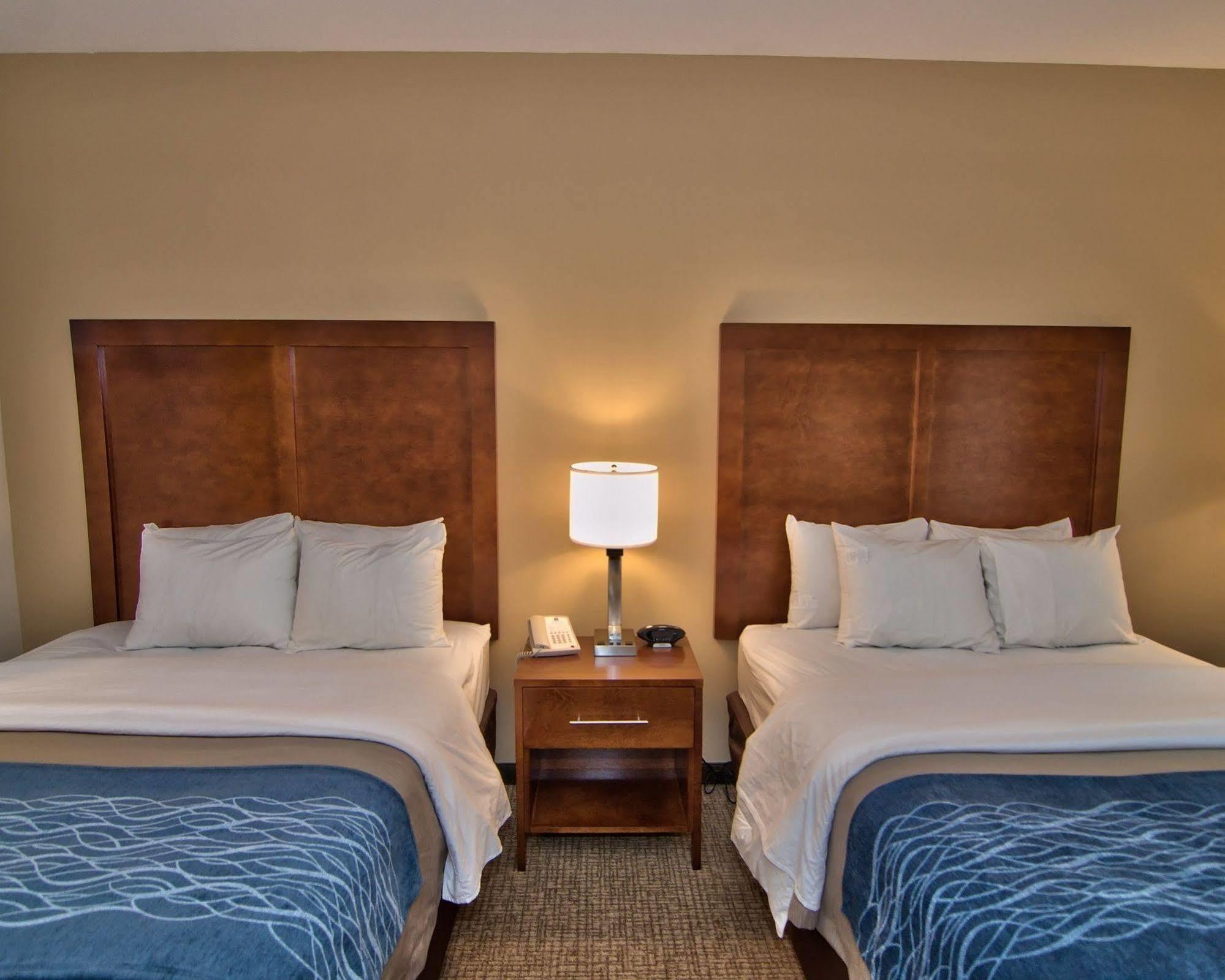 Comfort Inn Apalachin - Binghamton W Route 17 Екстер'єр фото